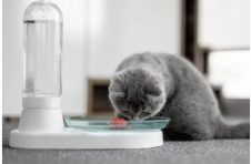 KittySpring无菌猫饮水器