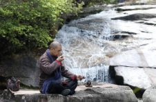 “江导说茶”直播，洞鉴古今：景上朱霞扶阳红茶是业界新拐点！