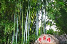 田西扶贫换新颜 珍爱竹园起新程 —记珍爱网党委主题党日活动
