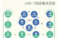 泰康CAR-T特药保险问世，0免赔额、100%报销