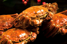 唯阳品牌：守护阳澄湖大闸蟹金字招牌的匠心企业