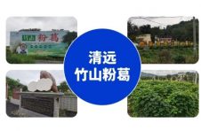 托海：托举乡村振兴大宏图，开创药食同源新蓝海